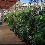 Casa El Sitio *