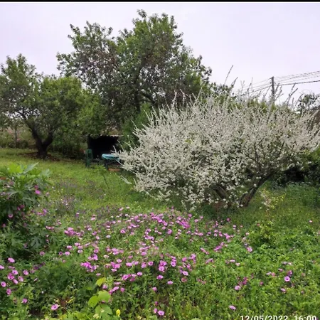 Casa El Sitio Nyaraló El Pueblo