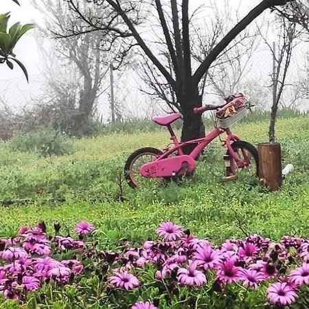 Casa El Sitio * El Pueblo