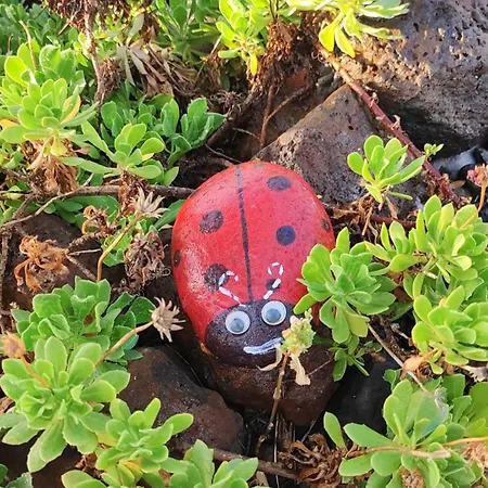 Casa El Sitio * El Pueblo