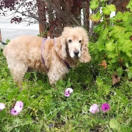 Casa El Sitio Nyaraló *