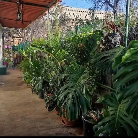 Casa El Sitio *