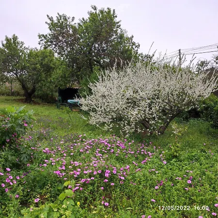 Casa El Sitio 度假居 El Pueblo