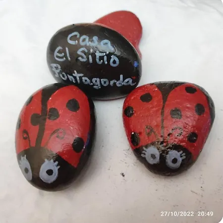 Casa El Sitio *
